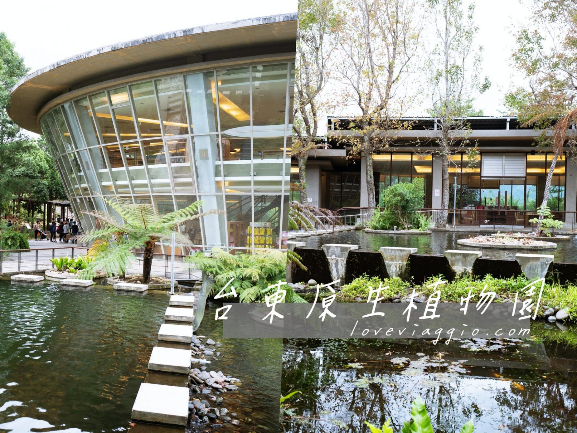 卑南,原生植物園 火鍋,台東原生應用植物園,台東景點,台東牧場,台東餐廳,汆燙鍋,養生餐廳 @薇樂莉 - 旅行.生活.攝影