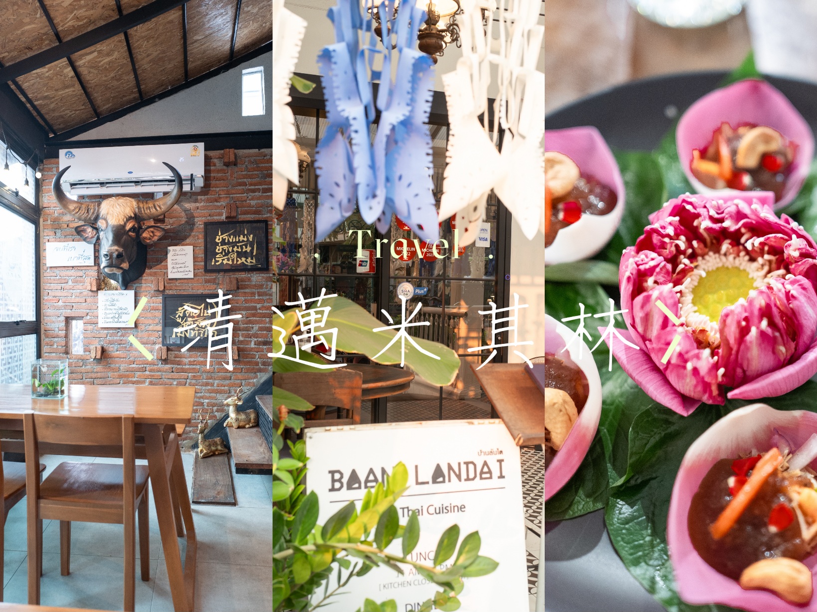 Baan Landai,Kao Soy Nimman,Sanae,The house by ginger,清邁咖哩麵,清邁旅遊,清邁米其林指南,清邁米其林美食,清邁美食,清邁餐廳,烤山尼曼咖哩麵 @薇樂莉 - 旅行.生活.攝影