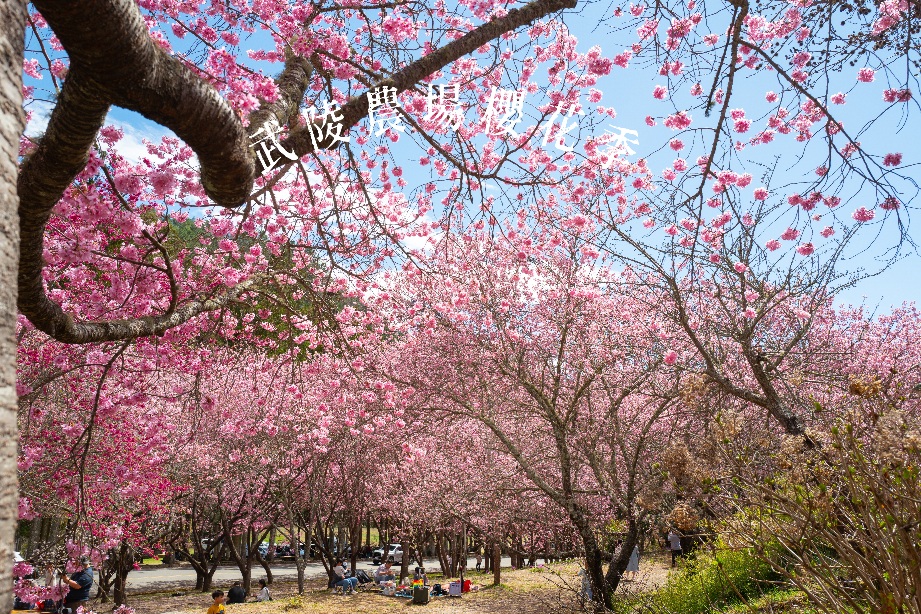 俩吆久,俩吆久景觀貨櫃,倆吆久,原住民料理,台東倆吆久,台東原住民餐廳,台東夜景,台東夜景餐廳,台東景觀餐廳,台東貨櫃屋餐廳 @薇樂莉 - 旅行.生活.攝影