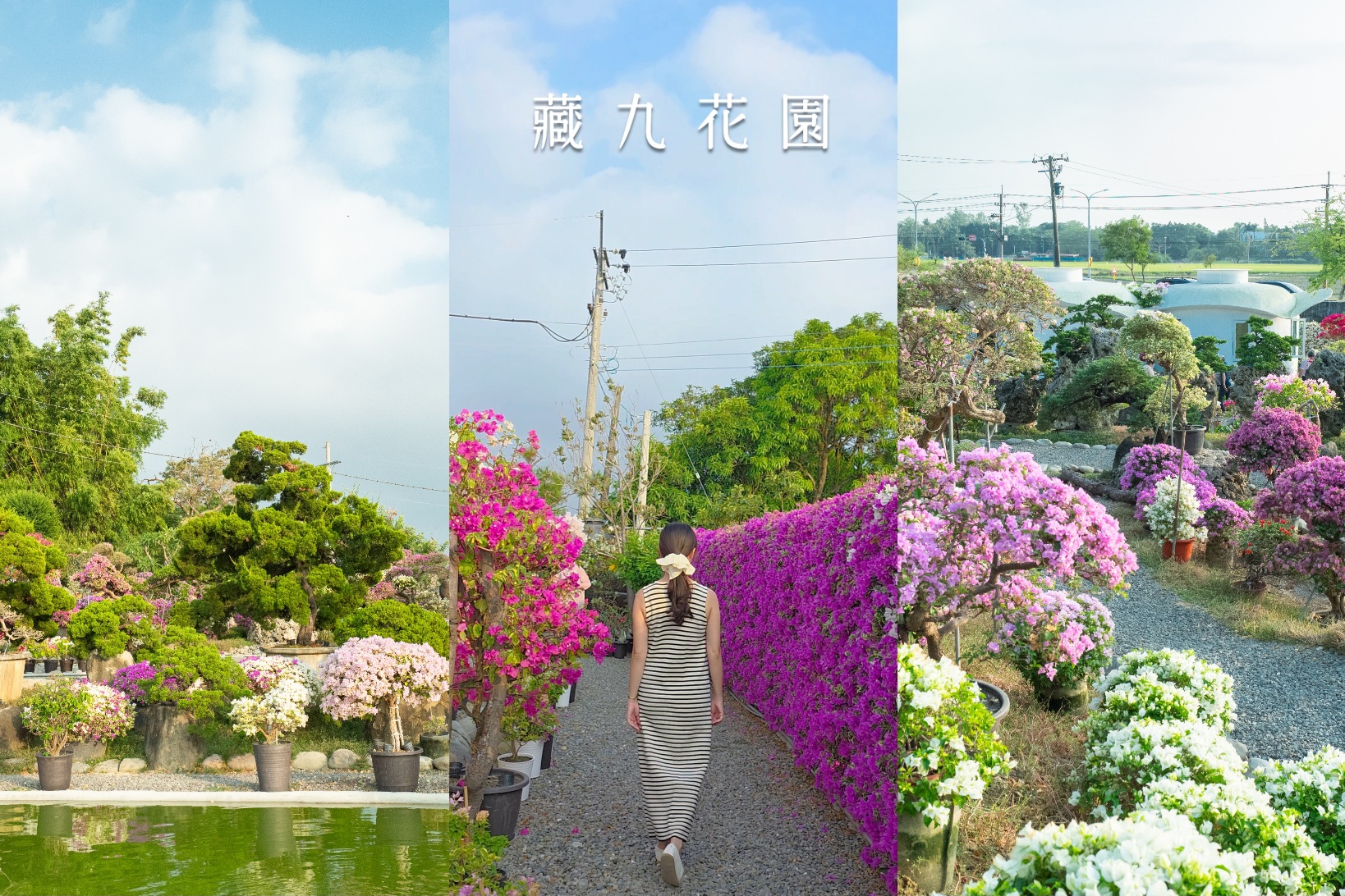 全台老屋咖啡餐廳,台北 老宅 餐廳,台北 老屋 餐廳,台北復古咖啡廳,咖啡館,復古 咖啡廳,復古懷舊,懷舊咖啡廳,老屋 咖啡,老屋餐廳 @薇樂莉 - 旅行.生活.攝影