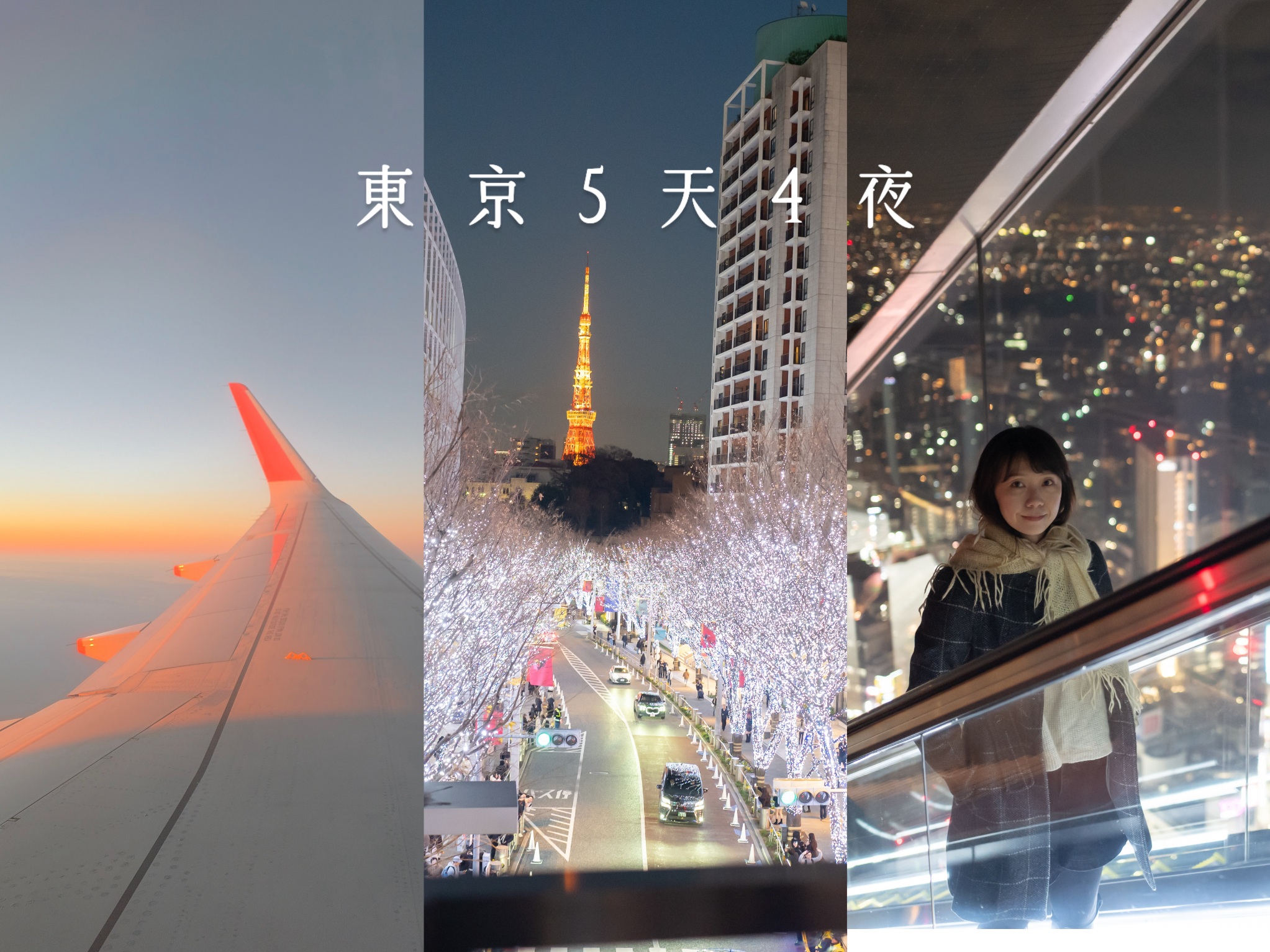 菲律賓旅遊,萊拉鯨鯊,薄荷島旅遊推薦,薄荷島浮潛,薄荷島萊拉,薄荷島萊拉鯨鯊,薄荷島行程,薄荷島鯨鯊,薄荷島鯨鯊共游,鯨鯊共游 @薇樂莉 - 旅行.生活.攝影