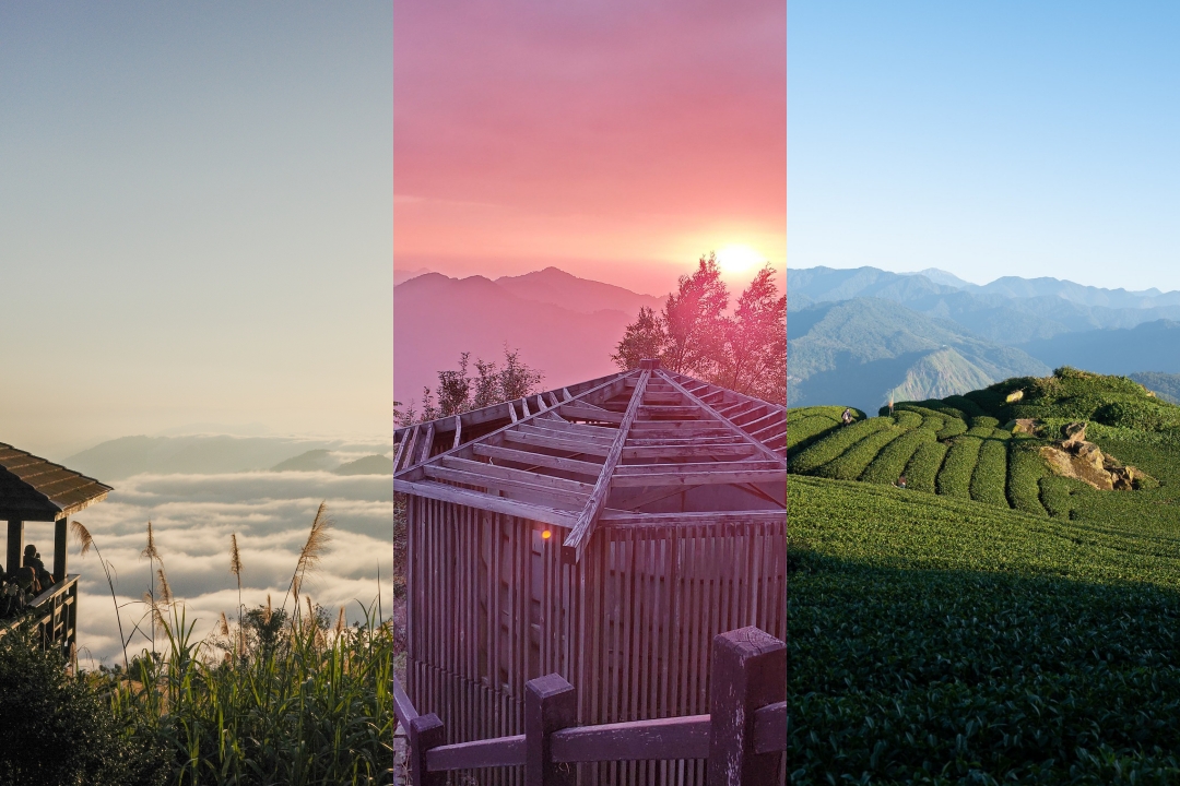 台灣水母湖,林園 水母,林園 濕地公園,林園倒立水母,林園水母,林園水母湖,林園海洋溼地公園,林園海洋濕地,林園海洋濕地公園,林園海洋濕地公園水母,林園溼地,海洋溼地公園,高雄景點,高雄沙灘,高雄溼地生態 @薇樂莉 - 旅行.生活.攝影