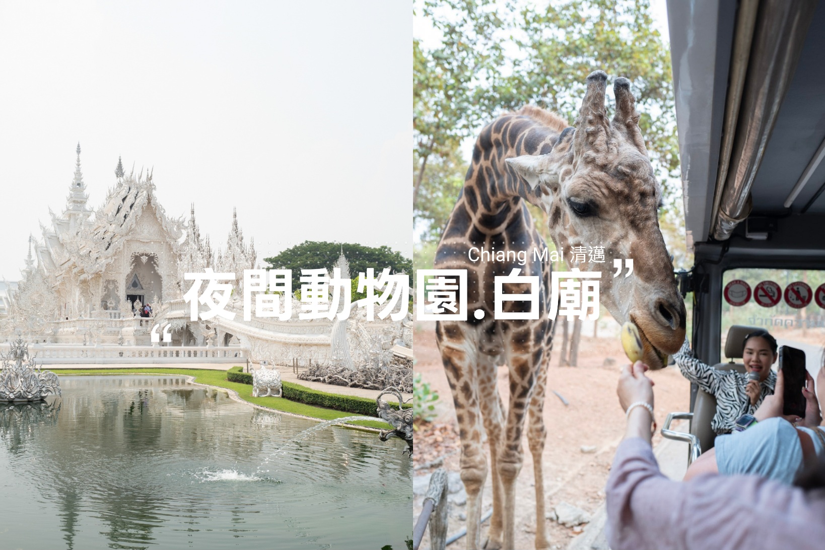 清萊白廟,清邁夜間動物園,清邁旅遊,清邁景點,清邁白廟,白廟一日遊 @薇樂莉 - 旅行.生活.攝影