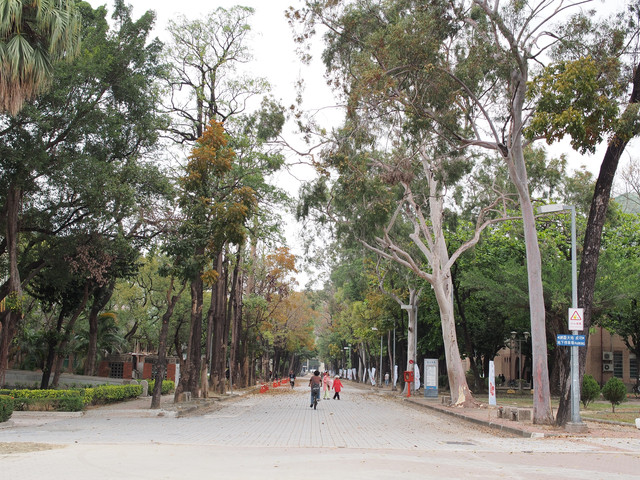 18巷,18巷餐廳,台南 18巷,台南 大學路,台南18巷,台南下午茶成大,台南餐廳,大學路,大學路18巷,大學路美食,大學路餐廳,成大 18巷,成大 下午茶,成大18巷餐廳,成大下午茶 @薇樂莉 - 旅行.生活.攝影 18巷,18巷餐廳,台南 18巷,台南 大學路,台南18巷,台南下午茶成大,台南餐廳,大學路,大學路18巷,大學路美食,大學路餐廳,成大 18巷,成大 下午茶,成大18巷餐廳,成大下午茶 @薇樂莉 - 旅行.生活.攝影