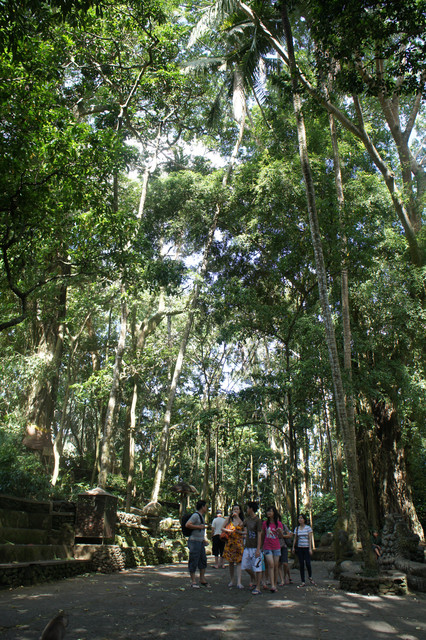 巴里島,烏布 @薇樂莉 - 旅行.生活.攝影 巴里島,烏布 @薇樂莉 - 旅行.生活.攝影