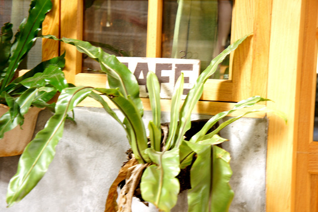 北海岸,金瓜石 @薇樂莉 - 旅行.生活.攝影 北海岸,金瓜石 @薇樂莉 - 旅行.生活.攝影